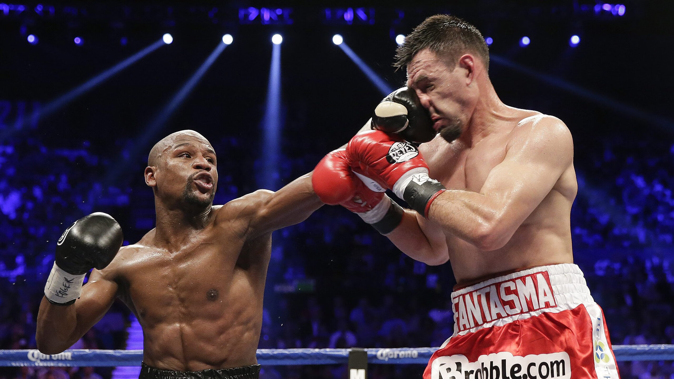 乒乓球赛场焦点！法国队对阵德国队，强强对话引爆全球球迷关注